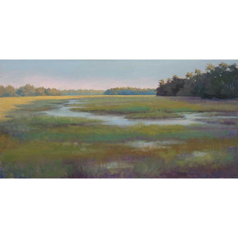 Stream and Sky Countryside Black Modern Wood Framed Art Print with Double Matting by Schultz-McGannon, Jill