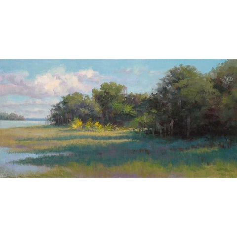 Countryside Afternoon Black Modern Wood Framed Art Print with Double Matting by Schultz-McGannon, Jill