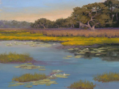 Waterlily Bay Black Ornate Wood Framed Art Print with Double Matting by McGannon, Jill Schultz