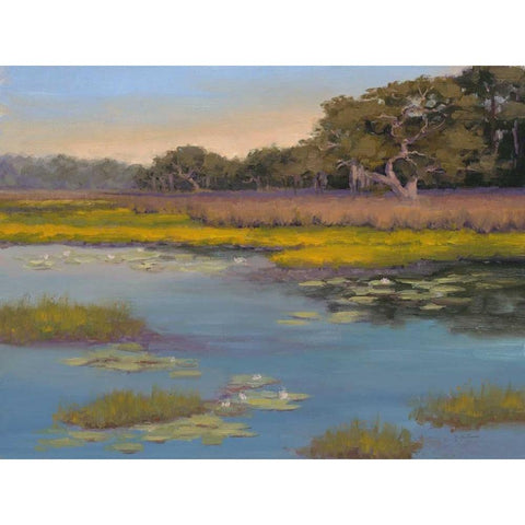 Waterlily Bay Gold Ornate Wood Framed Art Print with Double Matting by McGannon, Jill Schultz