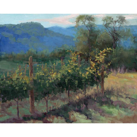 Vineyard On The Hill White Modern Wood Framed Art Print by McGannon, Jill Schultz
