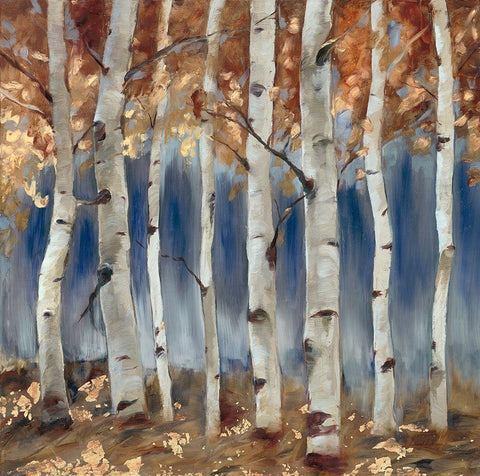Copper and Blue Birch Trees, Square 1 White Modern Wood Framed Art Print with Double Matting by Lehman, Laurel
