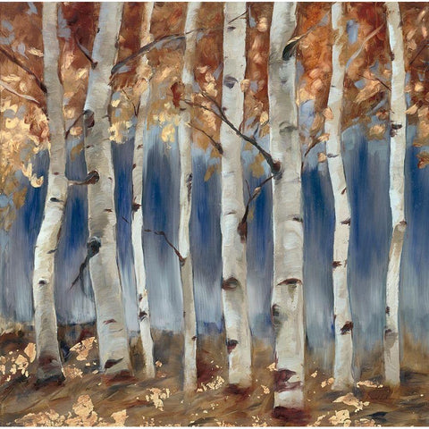 Copper and Blue Birch Trees, Square 1 Black Modern Wood Framed Art Print with Double Matting by Lehman, Laurel