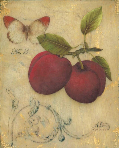 Plum Recollection White Modern Wood Framed Art Print with Double Matting by Regina Andrew Design