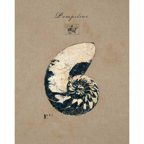 Vintage Linen Nautilus Gold Ornate Wood Framed Art Print with Double Matting by Regina Andrew Design