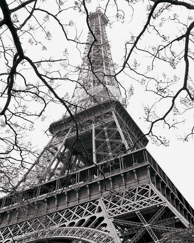 Spring - La Tour Eiffel Black Ornate Wood Framed Art Print with Double Matting by Vandenack