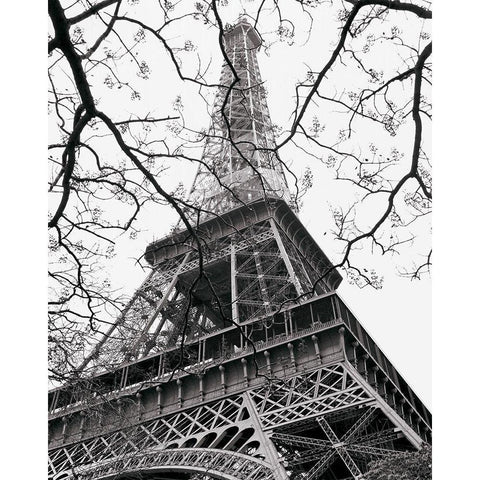 Spring - La Tour Eiffel Black Modern Wood Framed Art Print by Vandenack