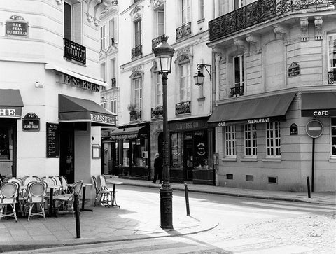 Le St. Regis Black Ornate Wood Framed Art Print with Double Matting by Vandenack