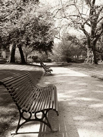 April in Paris Black Ornate Wood Framed Art Print with Double Matting by Vandenack, Toby