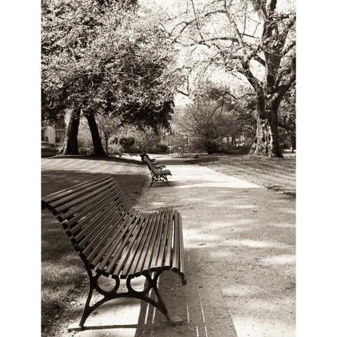 April in Paris Black Modern Wood Framed Art Print by Vandenack, Toby