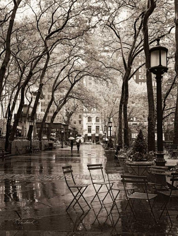 April Showers Black Ornate Wood Framed Art Print with Double Matting by Vandenack, Toby