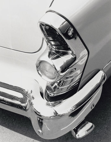 Tail Fin White Modern Wood Framed Art Print with Double Matting by Vandenack