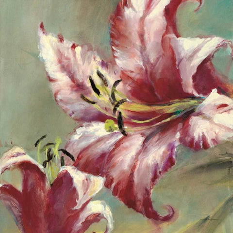 Blooming Lily White Modern Wood Framed Art Print with Double Matting by Heighton, Brent