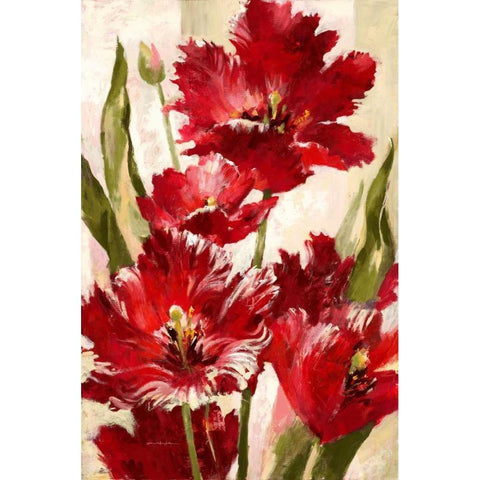 Jubilant Red Tulip Black Modern Wood Framed Art Print with Double Matting by Heighton, Brent
