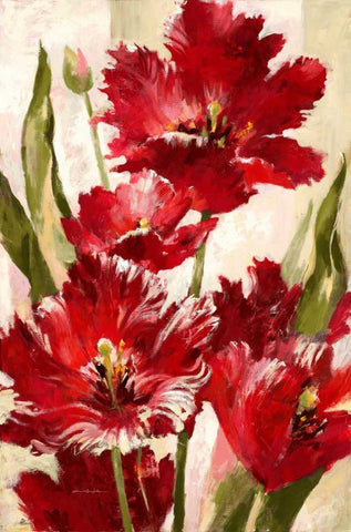 Jubilant Red Tulip White Modern Wood Framed Art Print with Double Matting by Heighton, Brent