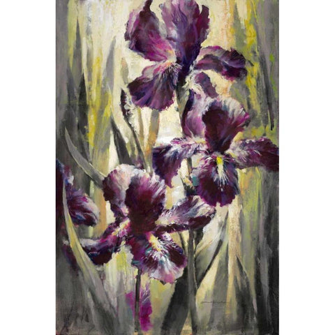 Ambient Iris 1 Black Modern Wood Framed Art Print with Double Matting by Heighton, Brent