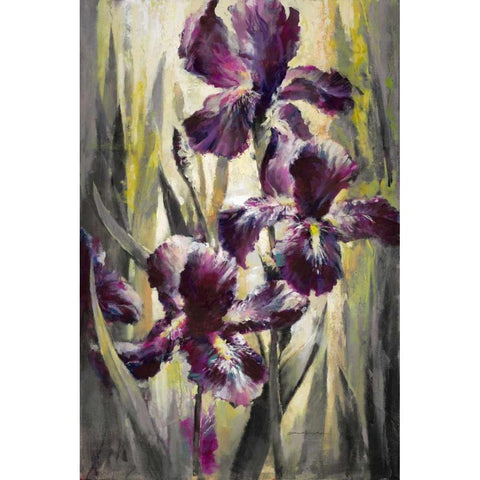 Ambient Iris 1 Black Modern Wood Framed Art Print by Heighton, Brent