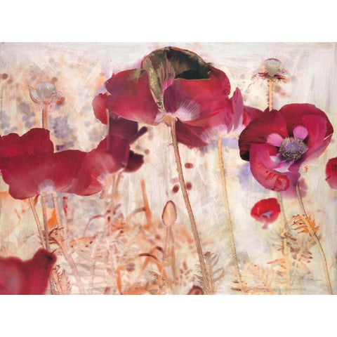 Dreamtime Poppies  Black Modern Wood Framed Art Print by Theodosiou, Matina