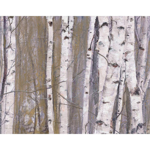 Birch Tree Grove White Modern Wood Framed Art Print by Theodosiou, Matina