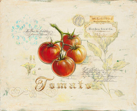 Tuscan Tomato White Modern Wood Framed Art Print with Double Matting by Staehling, Angela