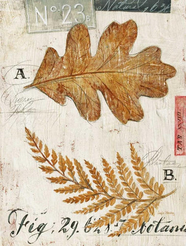 Natures Leaves White Modern Wood Framed Art Print with Double Matting by Staehling, Angela