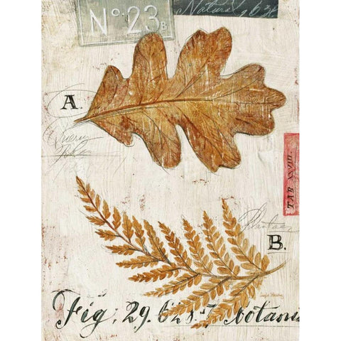 Natures Leaves White Modern Wood Framed Art Print by Staehling, Angela