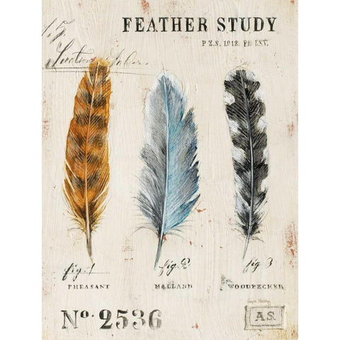 Natures Feathers Black Modern Wood Framed Art Print by Staehling, Angela