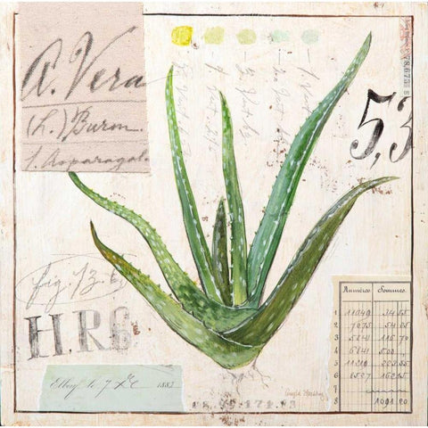 Aloe Vera-Sketchbook Black Modern Wood Framed Art Print by Staehling, Angela