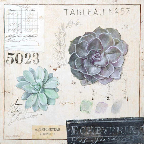Echeveria-Sketchbook White Modern Wood Framed Art Print by Staehling, Angela