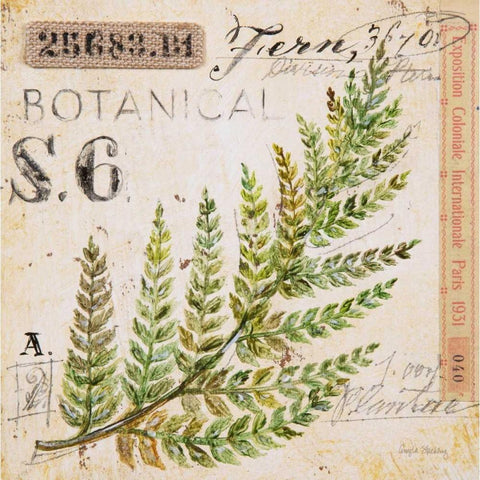 Fern Leaf-Sketchbook White Modern Wood Framed Art Print by Staehling, Angela