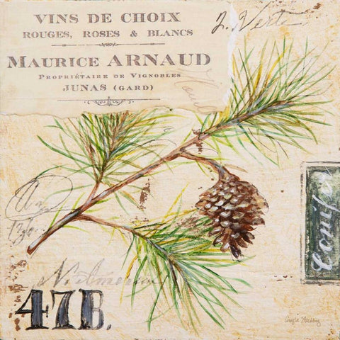 Fir Branch-Sketchbook Black Modern Wood Framed Art Print by Staehling, Angela