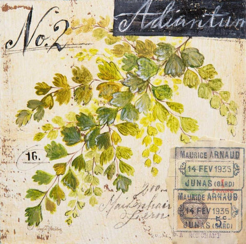 Maidenhair Fern-Sketchbook Black Ornate Wood Framed Art Print with Double Matting by Staehling, Angela