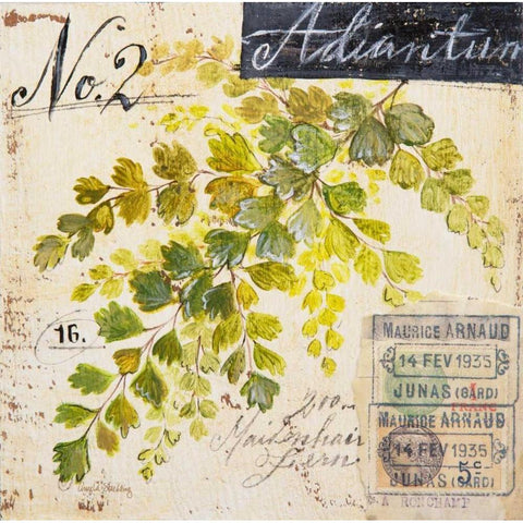 Maidenhair Fern-Sketchbook White Modern Wood Framed Art Print by Staehling, Angela