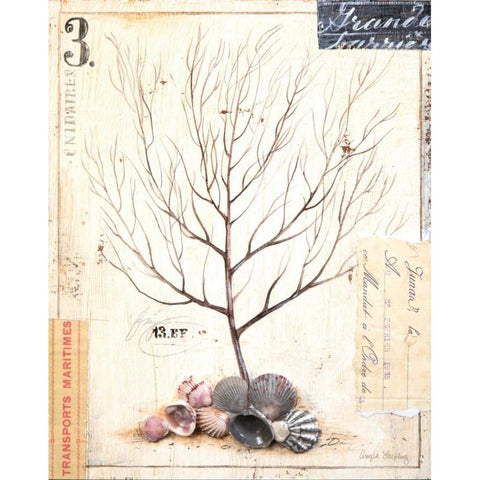 Coral Sketchbook Black Modern Wood Framed Art Print by Staehling, Angela
