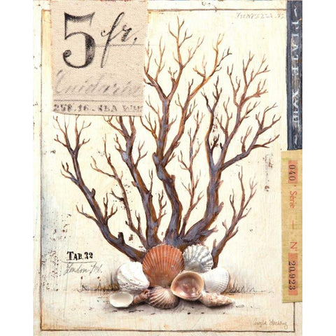 Coral No.3 Sketchbook Black Modern Wood Framed Art Print with Double Matting by Staehling, Angela