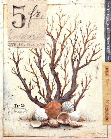 Coral No.3 Sketchbook White Modern Wood Framed Art Print with Double Matting by Staehling, Angela