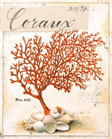 Coral No.5 Sketchbook Black Ornate Wood Framed Art Print with Double Matting by Staehling, Angela