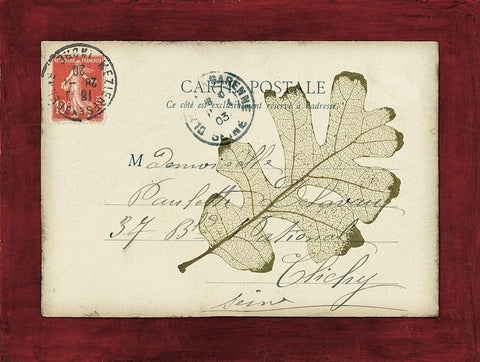 Rose Leaf Envelope White Modern Wood Framed Art Print with Double Matting by Morey, Booker