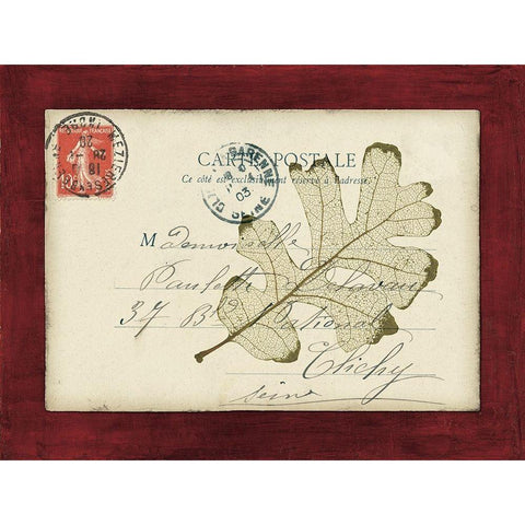 Rose Leaf Envelope Black Modern Wood Framed Art Print with Double Matting by Morey, Booker