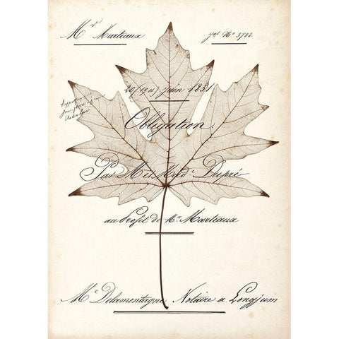 Maple Document Gold Ornate Wood Framed Art Print with Double Matting by Morey, Booker
