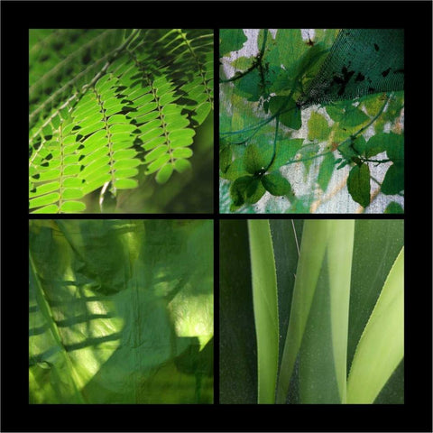 Fresh Green Black Modern Wood Framed Art Print with Double Matting by Rauscher, Michel