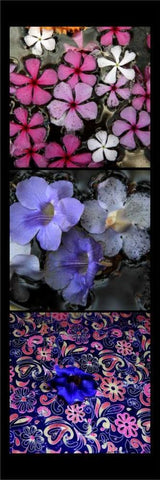 Floral Pond Black Ornate Wood Framed Art Print with Double Matting by Rauscher, Michel