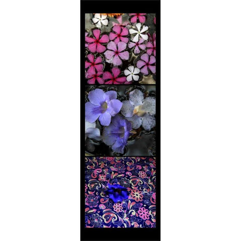 Floral Pond Black Modern Wood Framed Art Print with Double Matting by Rauscher, Michel