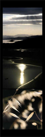 Moon Light Enchantment  White Modern Wood Framed Art Print with Double Matting by Rauscher, Michel