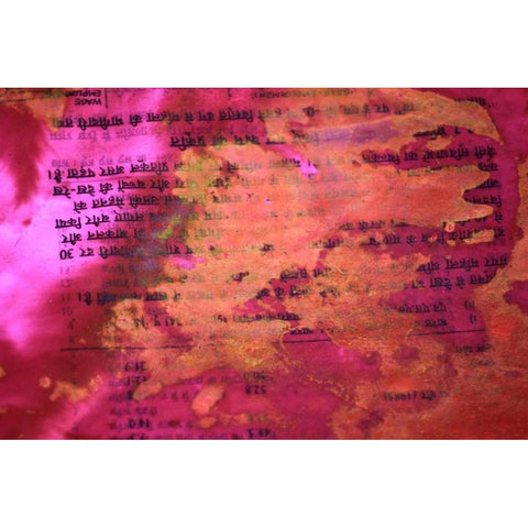 Global Pinks 4 Black Modern Wood Framed Art Print by Rauscher, Michel