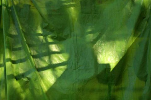 Fresh Green 3 Black Ornate Wood Framed Art Print with Double Matting by Rauscher, Michel