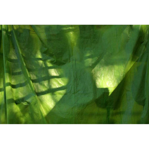 Fresh Green 3 White Modern Wood Framed Art Print by Rauscher, Michel