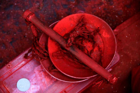 Global Spice 2 Black Ornate Wood Framed Art Print with Double Matting by Rauscher, Michel