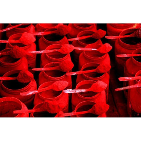 Global Spice 4 Gold Ornate Wood Framed Art Print with Double Matting by Rauscher, Michel