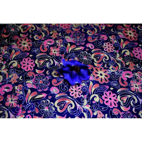 Floral Pond 3 Black Modern Wood Framed Art Print with Double Matting by Rauscher, Michel